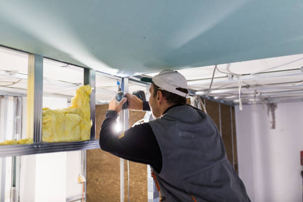 Insulation Replacement Services in St John, IN