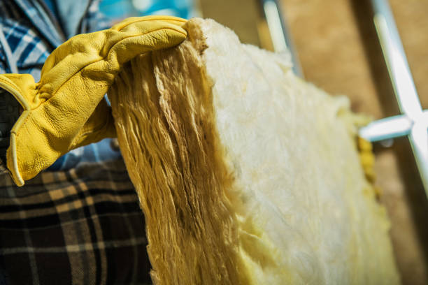 Professional Insulation Contractor in St John, IN